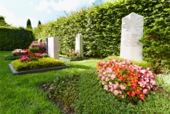 FLORAGARD Graberde, 20 L -Wurzel Lust Verkaufsgeschäft 114852 4 800x800