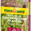 FLORAGARD Spezialerde Für Fleischfressende Pflanzen, 3 L -Wurzel Lust Verkaufsgeschäft 114896 1 800x800