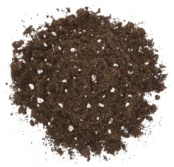 FLORAGARD Spezialerde Für Fleischfressende Pflanzen, 3 L -Wurzel Lust Verkaufsgeschäft 114896 2 800x800