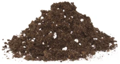 FLORAGARD Spezialerde Für Fleischfressende Pflanzen, 3 L -Wurzel Lust Verkaufsgeschäft 114896 3 800x800