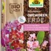 NEUDOHUM Orchideenerde, 3 L 1 NEUDOHUM Orchideenerde, 3 L -Wurzel Lust Verkaufsgeschäft 4005240009680 800x800