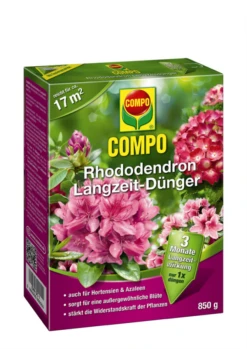 COMPO Rhododendron-Langzeitdünger