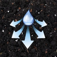 WESTLAND Zimmerpflanzenerde 9 WESTLAND Zimmerpflanzenerde – Bild 7