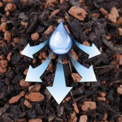 WESTLAND Orchideenerde -Wurzel Lust Verkaufsgeschäft 4260376733667.pt02 800x800