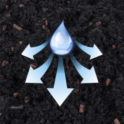 WESTLAND Kakteen-& Sukkulentenerde, 4 L -Wurzel Lust Verkaufsgeschäft 4260376733865.pt02 800x800