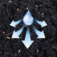 WESTLAND Zitruspflanzenerde, 8 L 9 WESTLAND Zitruspflanzenerde, 8 L – Bild 7