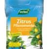 WESTLAND Zitruspflanzenerde, 8 L -Wurzel Lust Verkaufsgeschäft 4260376733940 800x800