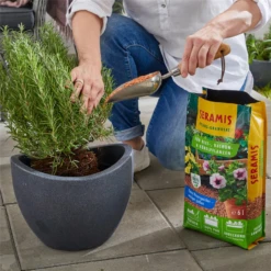 SERAMIS Outdoor Pflanz-Granulat -Wurzel Lust Verkaufsgeschäft 4260376734367.pt04 800x800