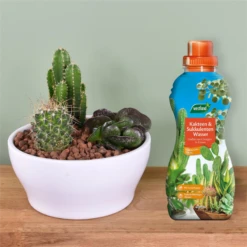 WESTLAND Kakteen-& Sukkulentenwasser, 720 Ml 10 WESTLAND Kakteen-& Sukkulentenwasser, 720 Ml -Wurzel Lust Verkaufsgeschäft 4260376734411.pt02 800x800