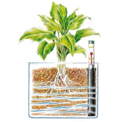 WESTLAND Tongranulat -Wurzel Lust Verkaufsgeschäft 4260376734756.pt03 800x800