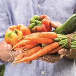 WESTLAND Gemüseerde „New Horizon“, Torffrei, 40 L -Wurzel Lust Verkaufsgeschäft 4260376735067.pt03 800x800