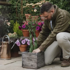 WESTLAND Blumenerde „New Horizon“, Torffrei, 40 L -Wurzel Lust Verkaufsgeschäft 4260376735104.pt02 800x800