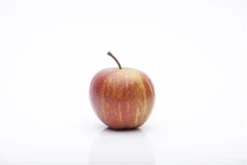 Herbstapfel „Rubinette®“ -Wurzel Lust Verkaufsgeschäft GS458021 800x800