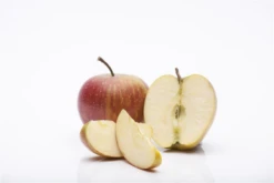 Herbstapfel „Rubinette®“ -Wurzel Lust Verkaufsgeschäft GS458023 800x800