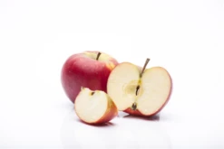 Winterapfel „Topaz(s)“ -Wurzel Lust Verkaufsgeschäft GS458026 800x800