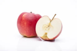 Apfel „Jonagold“ -Wurzel Lust Verkaufsgeschäft GS458034 800x800