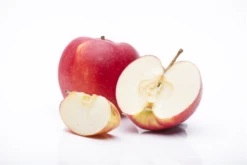 Apfel „Jonagold“ -Wurzel Lust Verkaufsgeschäft GS458035 800x800