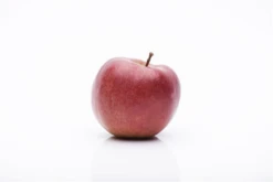 Apfel „Braeburn“ -Wurzel Lust Verkaufsgeschäft GS458045 800x800