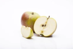 Apfel „Cox Orange“