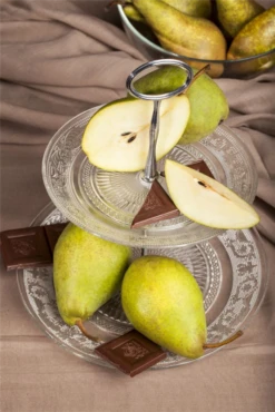 Birne „Köstliche Von Charneux“