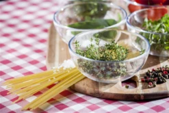 Echter Thymian -Wurzel Lust Verkaufsgeschäft GS474950 800x800