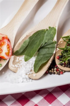 Garten-Salbei 28 Garten-Salbei -Wurzel Lust Verkaufsgeschäft GS474963 800x800